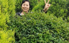 做暧暧暖视频超长免费